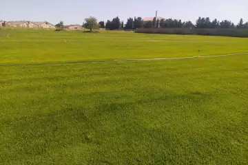 Satılır Torpaq Səngəçalda 