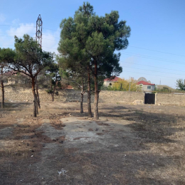 38 sot  torpaq satılır, Bakıxanov