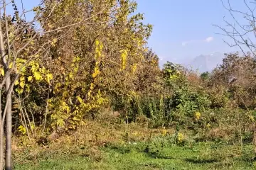 Satılır Torpaq Corlu Kəndində 