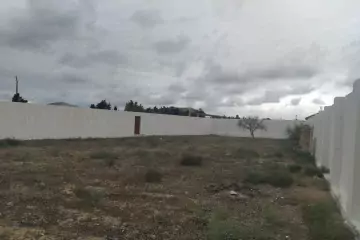 Satılır Torpaq Qalada 