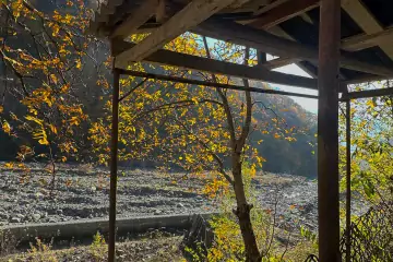 Satılır Həyət Evi Qax Rayonunda 