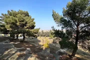 Satılır Torpaq Fatmayıda 