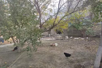 Satılır Torpaq Biləcəridə 