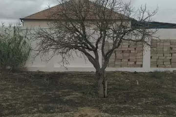 Satılır Torpaq Qalada 