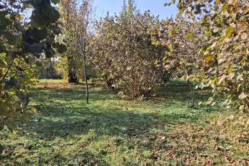 Satılır Torpaq Corlu Kəndində 