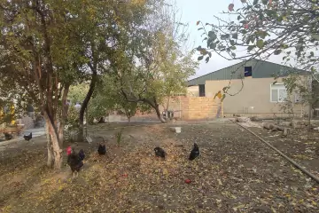 Satılır Torpaq Biləcəridə 