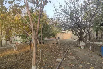 Satılır Torpaq Biləcəridə 