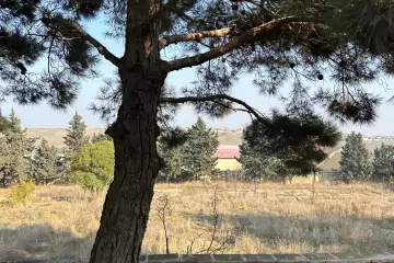 Satılır Torpaq Fatmayıda 