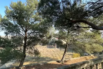 Satılır Torpaq Fatmayıda 