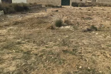 Satılır Torpaq Sarayda 