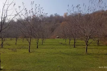 Satılır Torpaq İsmayıllı Rayonunda 