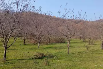 Satılır Torpaq İsmayıllı Rayonunda 