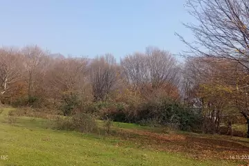 Satılır Torpaq İsmayıllı Rayonunda 