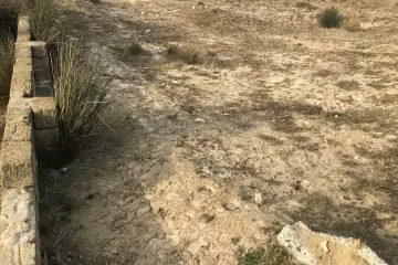 Satılır Torpaq Sarayda 