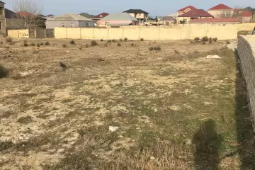 Satılır Torpaq Sarayda 