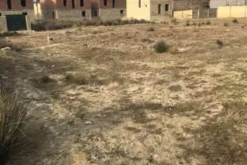 Satılır Torpaq Sarayda 