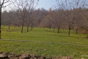 Satılır Torpaq İsmayıllı Rayonunda 