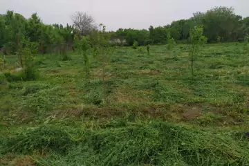 Satılır Torpaq Tərtər Rayonunda 