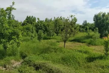 Satılır Torpaq Tərtər Rayonunda 