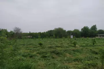 Satılır Torpaq Tərtər Rayonunda 