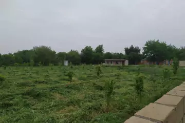 Satılır Torpaq Tərtər Rayonunda 