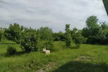 Satılır Torpaq Tərtər Rayonunda 