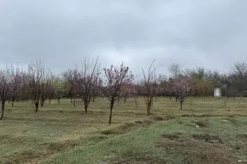 Satılır Torpaq Tərtər Rayonunda 