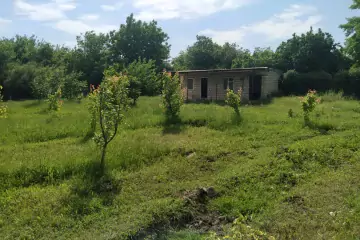 Satılır Torpaq Tərtər Rayonunda 