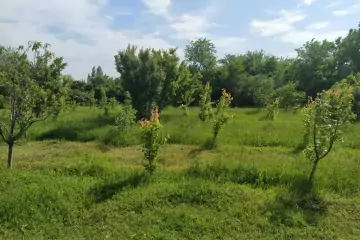 Satılır Torpaq Tərtər Rayonunda 