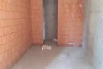 Satılır Yeni Tikili Bakıda 