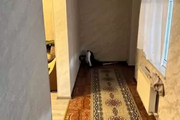 Satılır Həyət Evi Masazırda 