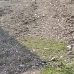 3 sot  torpaq satılır, Hökməli