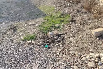 Satılır Torpaq Hökməlidə 