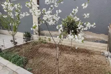 Satılır Həyət Evi Maştağada 