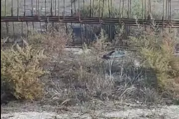 Satılır Torpaq Türkənda 