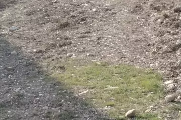 Satılır Torpaq Hökməlidə 