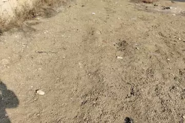 Satılır Torpaq Hökməlidə 