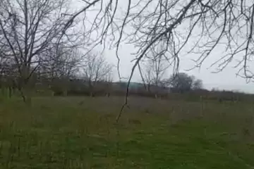 Satılır Torpaq Hacıalılı Kəndində 