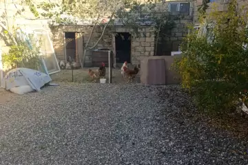 Satılır Həyət Evi Maştağada 