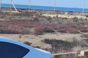 Satılır Torpaq Türkənda 