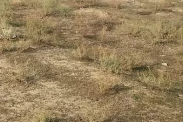 Satılır Torpaq Mehdiabad (abşeron)da 