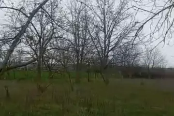 Satılır Torpaq Hacıalılı Kəndində 