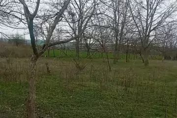 Satılır Torpaq Hacıalılı Kəndində 