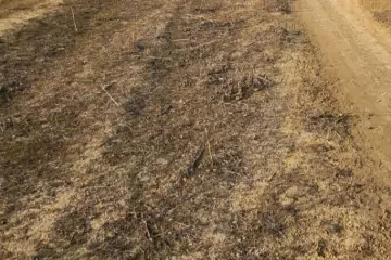 Satılır Torpaq Mehdiabad (abşeron)da 