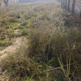 12 sot  torpaq satılır, Maştağa