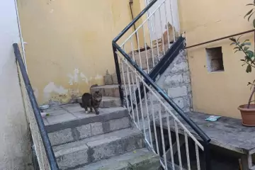 Satılır Həyət Evi Maştağada 