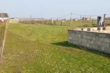 Satılır Torpaq Cəlilabad Rayonunda 