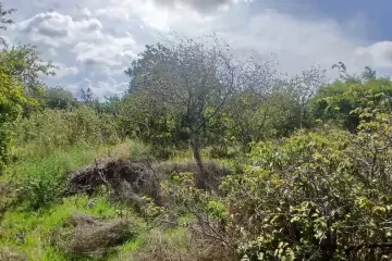 Satılır Torpaq Maştağada 