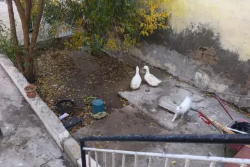 Satılır Həyət Evi Maştağada 