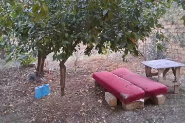 Satılır Həyət Evi Hökməlidə 